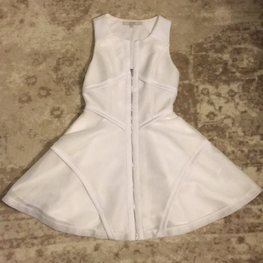 Fit and Flare Dress